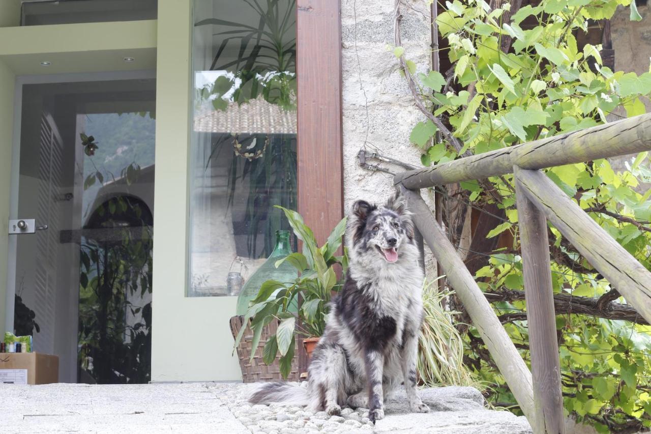 B&B Casa Gori Madice Exterior photo